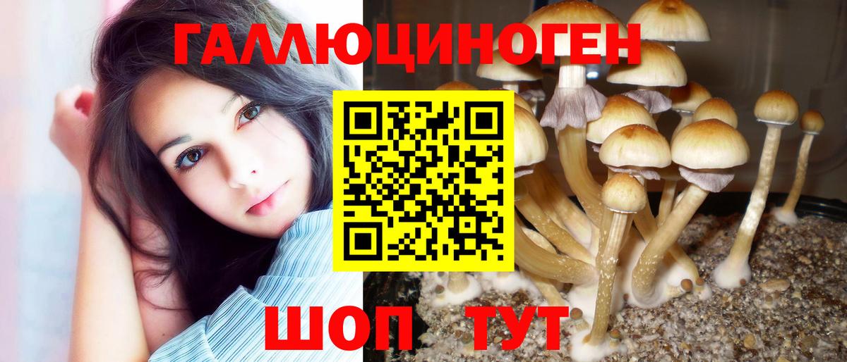 Балашиха  Галлюциногенные грибы Psilocybe  Вход с VPN 